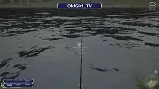 versuche Stör an der Tung, Teil 1