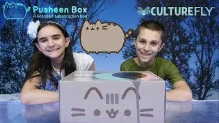 PUSHEEN BOX SPRING 2018 UNBOXING