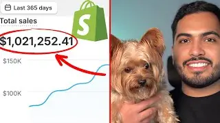 Дропшиппинг товаров для животных на Shopify: 0&ndash;1 млн за 1 год (кейс-стади)