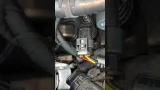 Camshaft Removal DTUK Tuning Box
