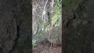 Natural Filter Water in Pakistan