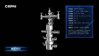 Typical Wellhead