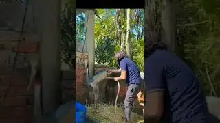 arif saras ki dosti