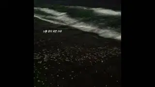 너를 잡지 못한 이유