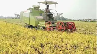 Class tiger 30 | Rice harvester | #comefromvillage