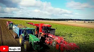 Un 8260R suivi d'un 7530 John Deere a l'arrache de betterave avec une automotrice Matrot🟢🚜🌱