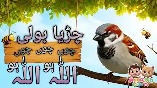 chirya boli choo choo choo Allah Hoo Allah Hoo