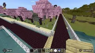 Minecraft- just trying to figure out what to do with this hole