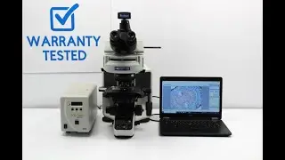 Olympus BX53 Upright Fluorescence Phase Contrast Microscope (New Filters) [BOSTONIND] - 55011