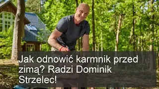 Jak przygotować karmnik na zimę? Porady Dominika Strzelca!