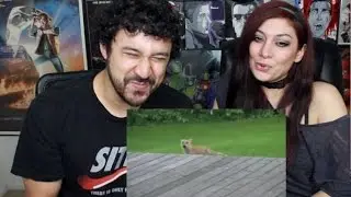 Try not to laugh CHALLENGE 25 - by AdikTheOne REACTION!!!