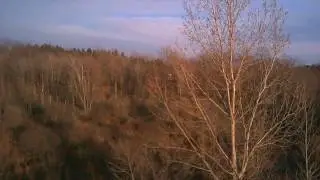 JJRC H30CH Backyard Flight