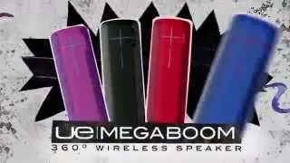 Introducing UE MEGABOOM - French (short)
