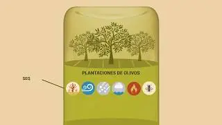 El seguro, el ingrediente m&aacute;s desconocido de la ensalada