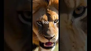 Top 5 feared animals