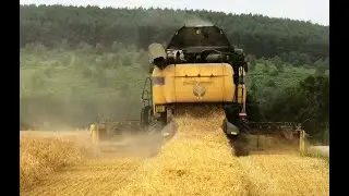 New Holland Harvester with Tractors