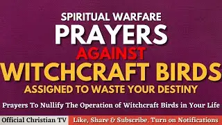 Spiritual Warfare Prayers Against Witchcraft Birds | Deliverance Prayers