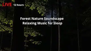 🔴 LIVE 🍂 Forest Nature Soundscape Relaxing Music for Sleep, Meditation, Inner Peace & Mindfulness