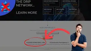 Drip Network - New Project & Lessons Learned (Do NOT Trust Forex Shark and Avoid Rey & Crypto Kingz)