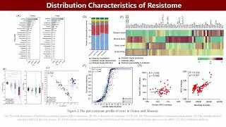 iMeta | Spatio-temporal characteristics of the gastrointestinal resistome in a cow-to-calf