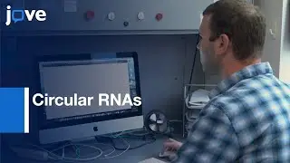 Circular RNAs Analysis by Alu Element Containing Minigenes | Protocol Preview