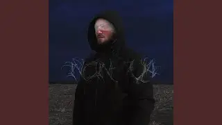 NON VA