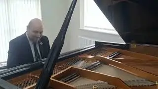 Chopin Nocturne in E♭ major, Op. 9, No. 2 - Danemann 160 Grand Piano