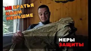 Волк в овечьей шкуре: противоэнцефалитный костюм