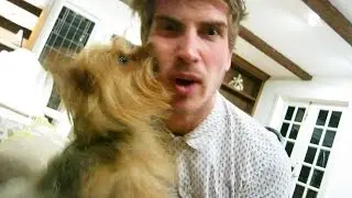 DOG ATTACK!