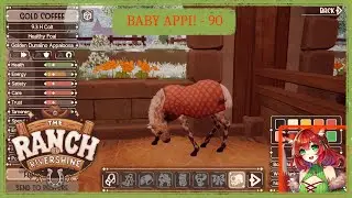 GOLDEN APPALOOSA! 💛 I 90 (No Commentary)