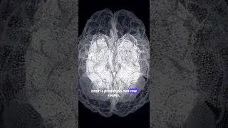 The Brain Prediction Experiment Is Reality Preloaded #Neuroscience #Perception #SimulationTheory