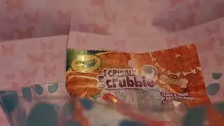 Crayola scribble scrubbies pets