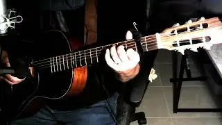 Flowers Never Bend in the Rainfall (Cover Simon and Garfunkel)