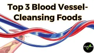 3 Best Foods for Clean & Healthy Blood Vessels