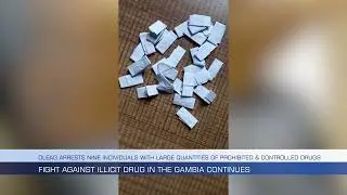 DLEAG Arrests Nine Individuals With large Quantities of Prohibited & Controlled Drugs Fight Against