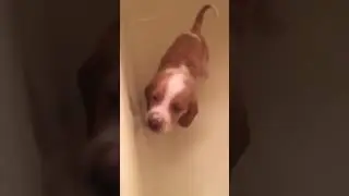 Boomer Bathtime