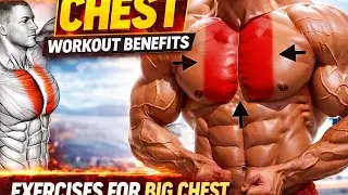 BEST SIX CHEST EXERCISES TO GROW CHEST FASTER AND THICKER💪💪