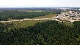 Mavic Air 2 Footage of Burns Bog, Delta, British Columbia