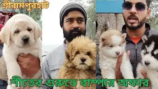 শ্রীরামপুর পেটস্ মার্কেট🙂kolkata Shirampur dog market🐕 puppies price#seramporepetmarket#puppy#pets 