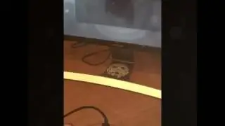 Xbox One Rapid Fire Mod for 3$