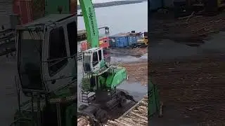 Watching the Sennebogen 835 - Unloading of Timber Saw #shortvideo