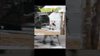 Отпуска нет &ndash; Total Chaos! 😤