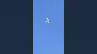 Eclipson inferno 3d printed plane