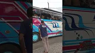DMH Trans 