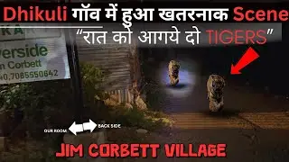 Jungle में रात का होश उड़ने वाला Scene | Dhikuli Village | Jim Corbett