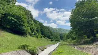 The sounds of nature to sleep, bird calls, water sound and amazing view.