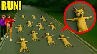 IF YOU SEE YOUR DOGS LAYING ON THE ROAD LIKE THIS, LOCK YOUR DOORS & HIDE! 😰