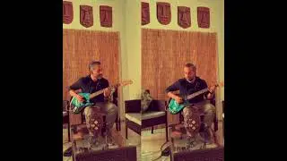 Ziggy Marley - Black Cat (guitar cover)