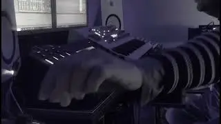 PETZOO-ALL IS DONE
