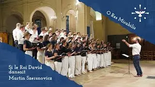 Si le roi David dansait - Martin Szersnovicz